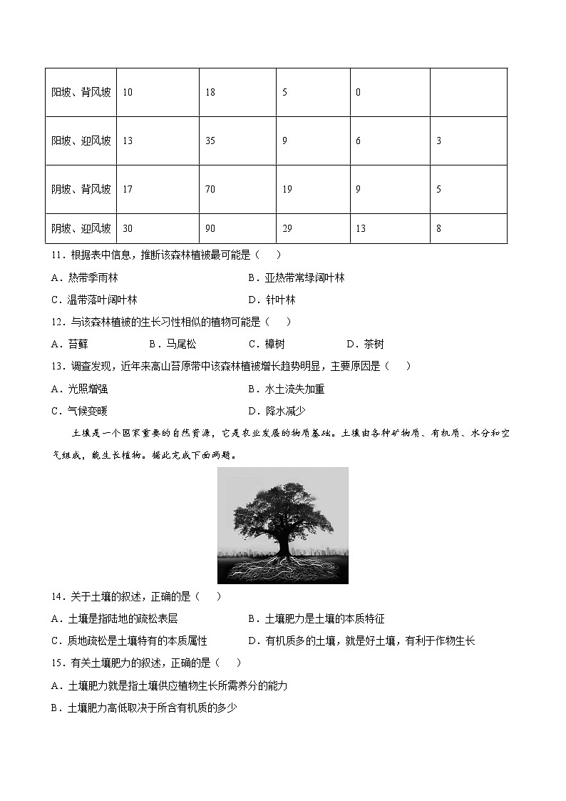 第5章  植被与土壤（基础卷）-2024-2025学年高一地理上学期同步课堂单元双测卷（人教版2019必修第一册）03