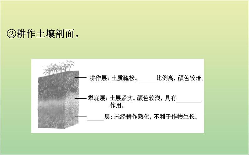 高中地理必修一 《第五章 植被与土壤 综合与测试》获奖说课课件第7页