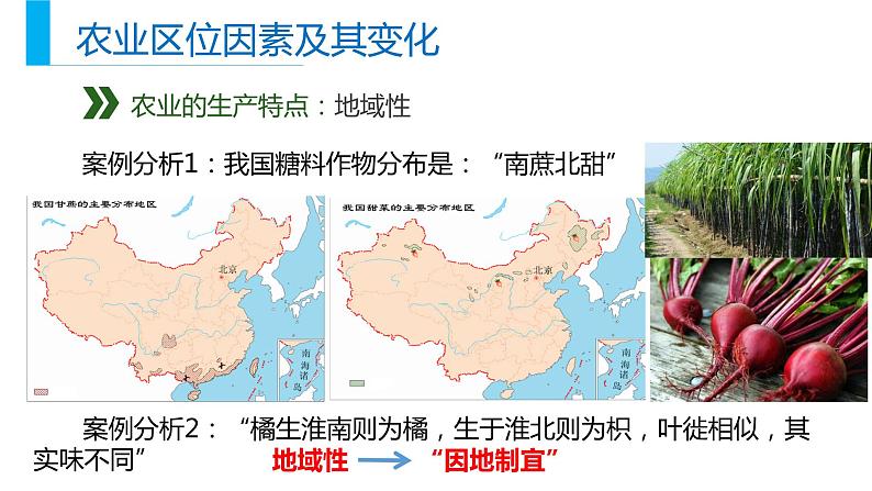 高中地理必修二 3.1 农业区位及其变化同步精品课件第6页