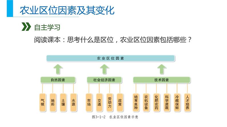 高中地理必修二 3.1 农业区位及其变化同步精品课件第8页