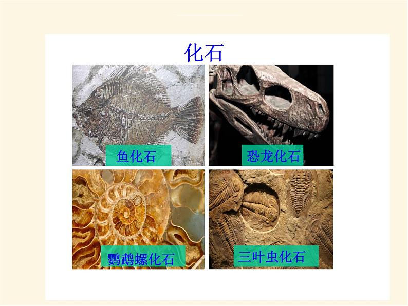 人教版高中地理必修第一册1.3地球的历史课件第7页