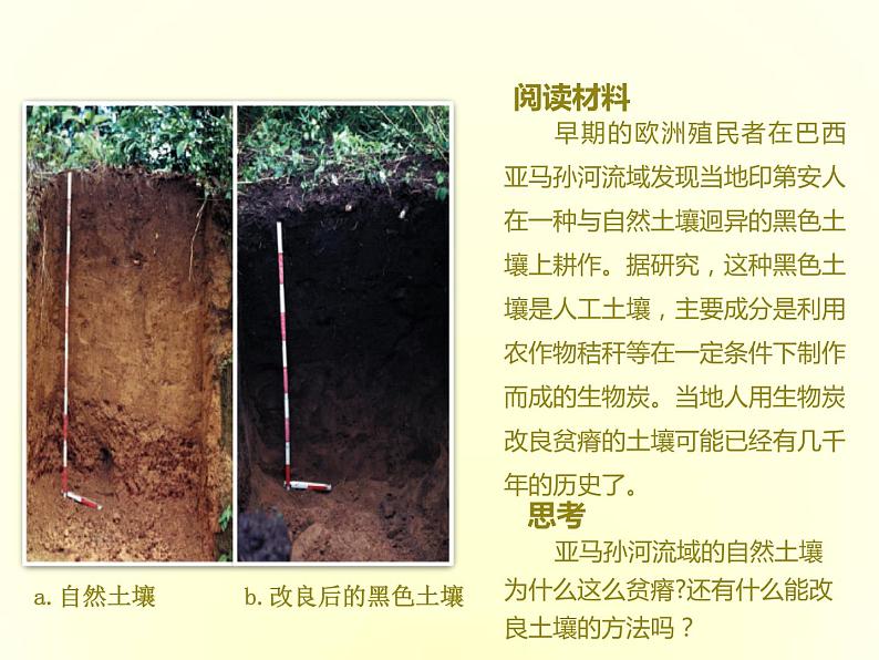 人教版高中地理必修第一册5.2土壤课件第3页