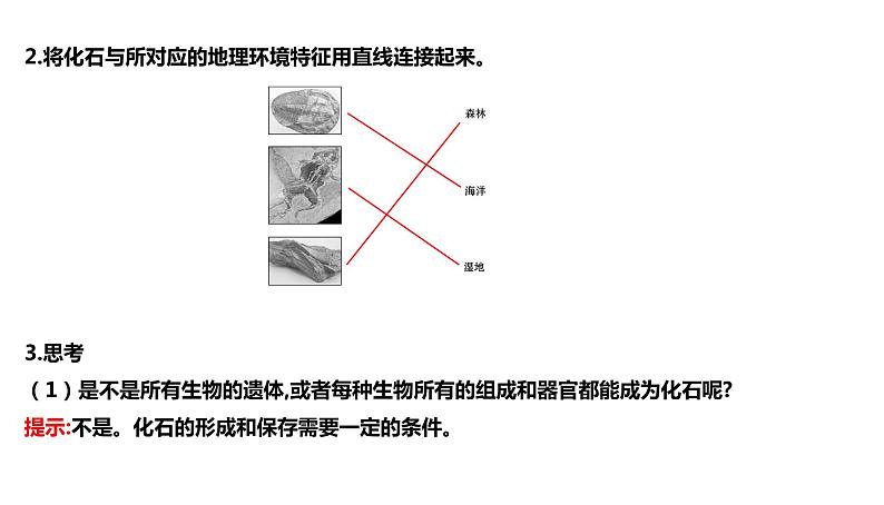 人教版高中地理必修第一册第一章-第三节地球的历史课件07