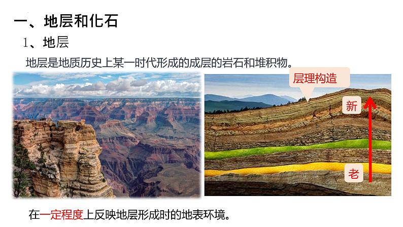 2022届高考地理一轮复习课件第4讲  地球的历史和地球的圈层结构06