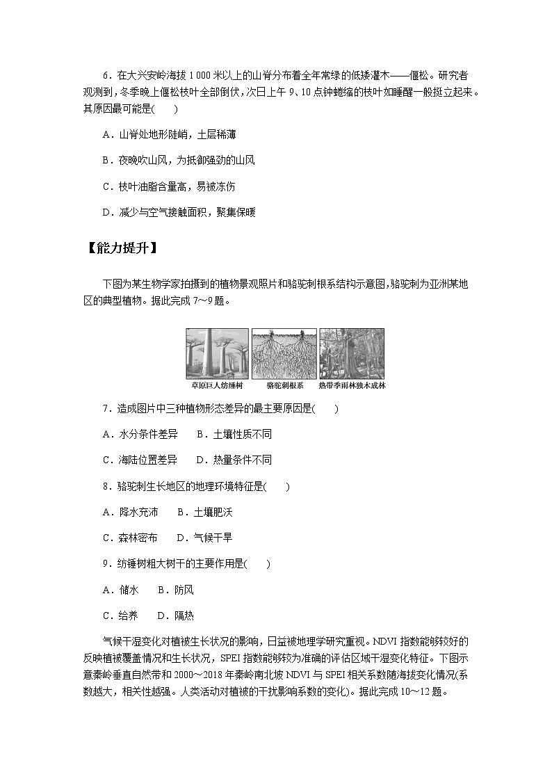 鲁教版高中地理必修第一册生物圈与植被课后作业提升603