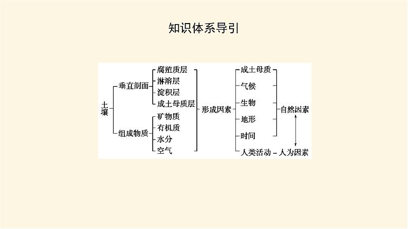 鲁教版高中地理必修第一册3.4分析土壤形成的原因课件05