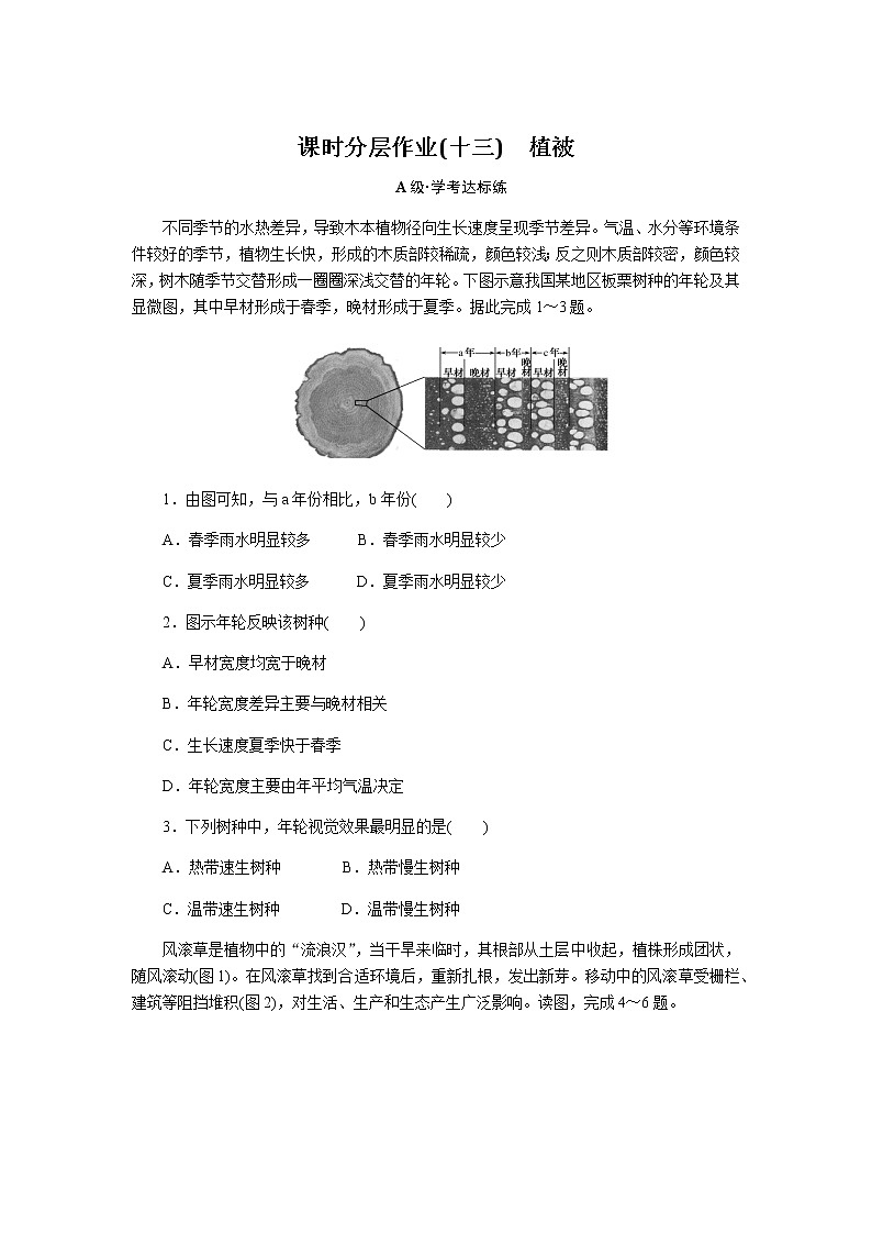 人教版高中地理必修第一册植被课时分层作业(十三)无答案01
