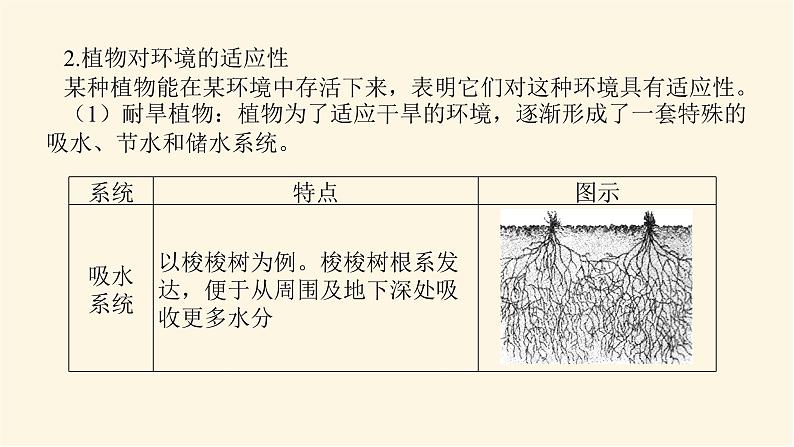 湘教版高中地理必修第一册专项培优第五章地球上的植被与土壤课件第6页