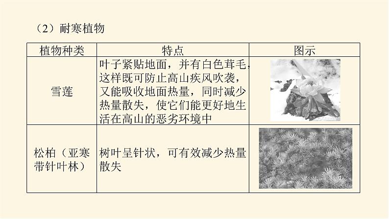 湘教版高中地理必修第一册专项培优第五章地球上的植被与土壤课件第8页