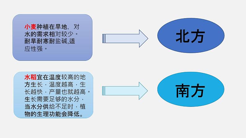 农业的区位选择课件第5页