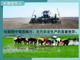 3.1.2以種植業(yè)為主的農業(yè)地域類型-2022-2023學年高中同步精品課件（中圖版必修2）