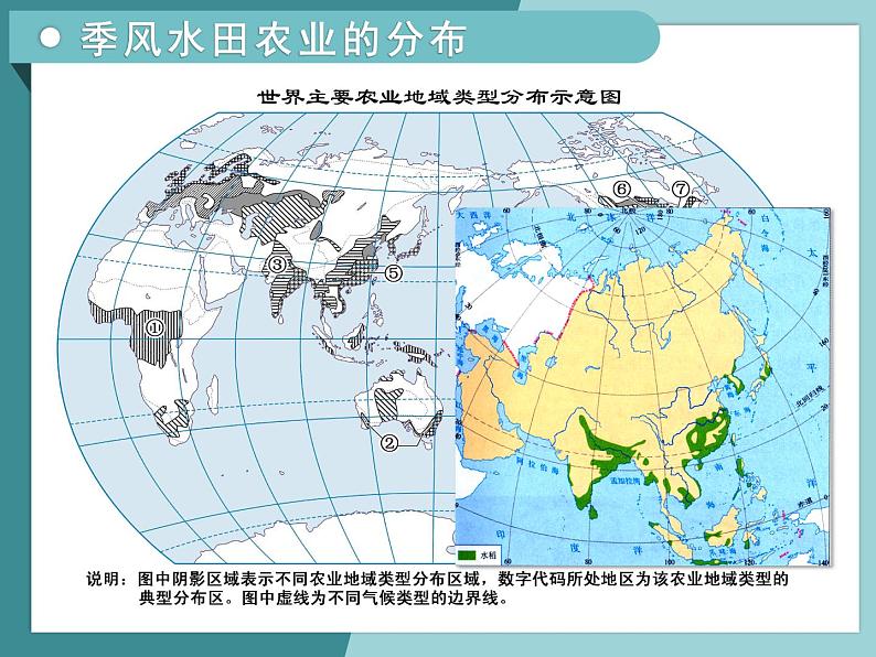 3.1.2以种植业为主的农业地域类型-2022-2023学年高中同步精品课件（中图版必修2）08