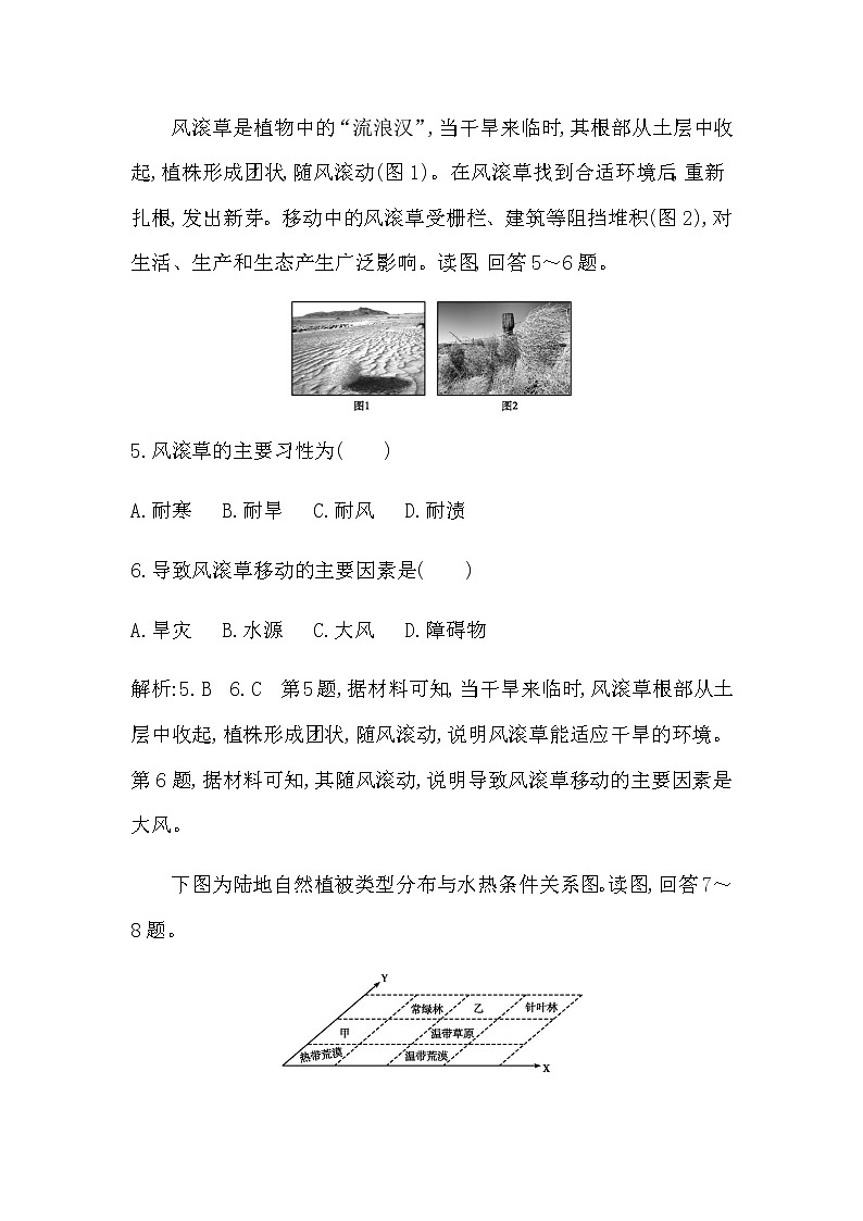 湘教版高中地理必修第一册第五章地球上的植被与土壤检测试题含答案03