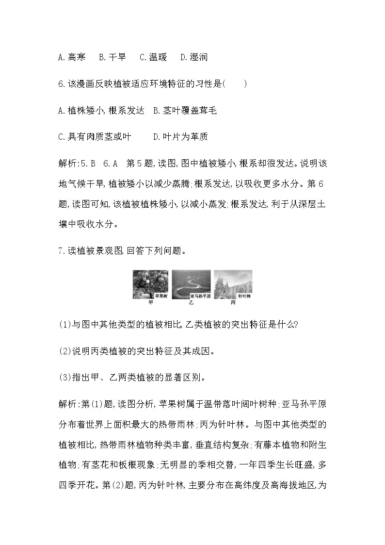 湘教版高中地理必修第一册第五章地球上的植被与土壤课时作业含答案03