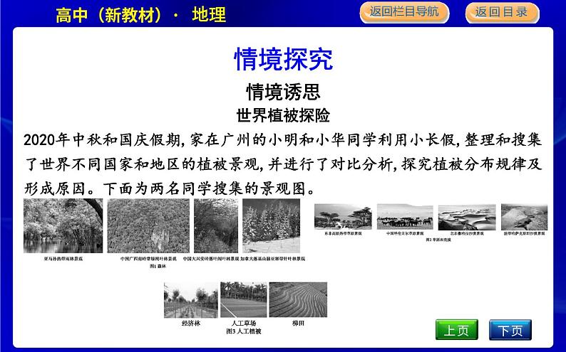 第一节　植被第4页