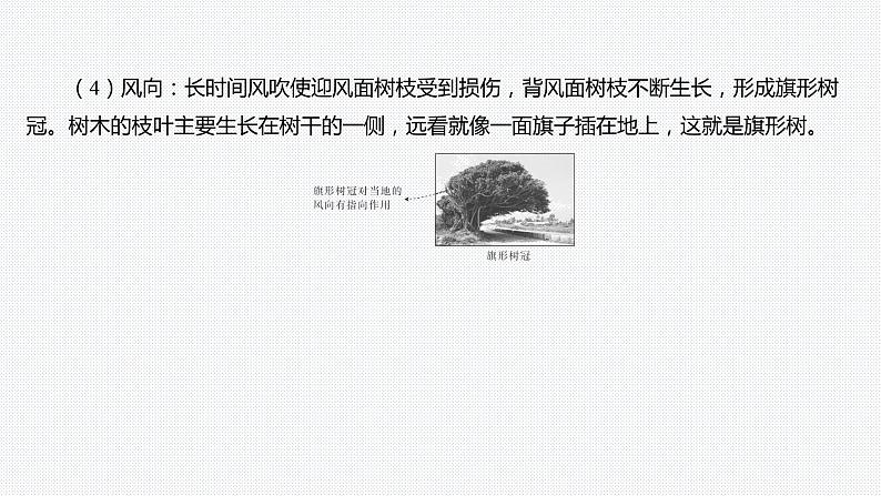 第五章 植被与土壤-第五章整合与评价-微专题 自然环境与植被的关系第5页