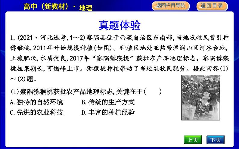 人教版高中地理必修第二册第三章产业区位因素课后训练+导学案+教学课件+检测试题04