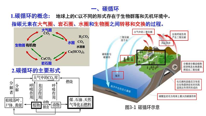 3.1 碳排放与国际减排合作 课件03