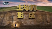 高中湘教版 (2019)第二节 土壤的形成授课ppt课件