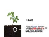 5.2 土壤与环境 课件