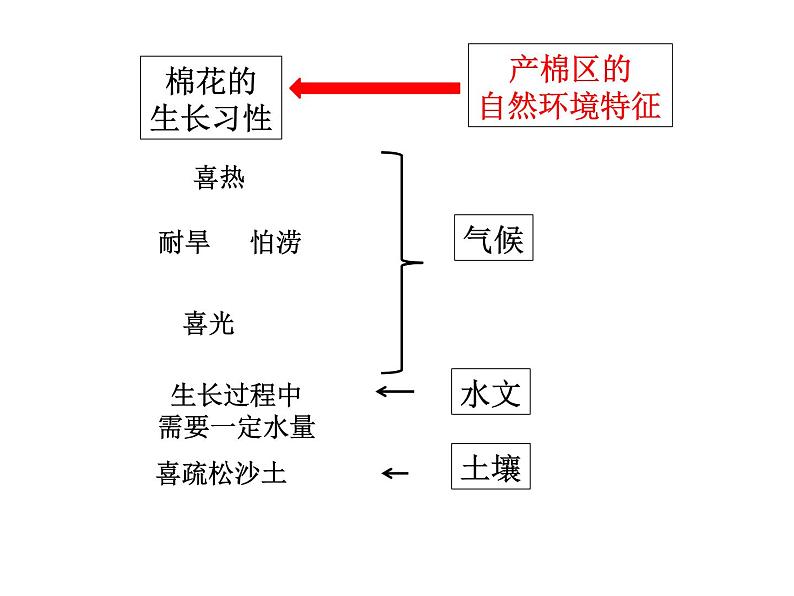 南亚的农业-印度棉花 课件第7页