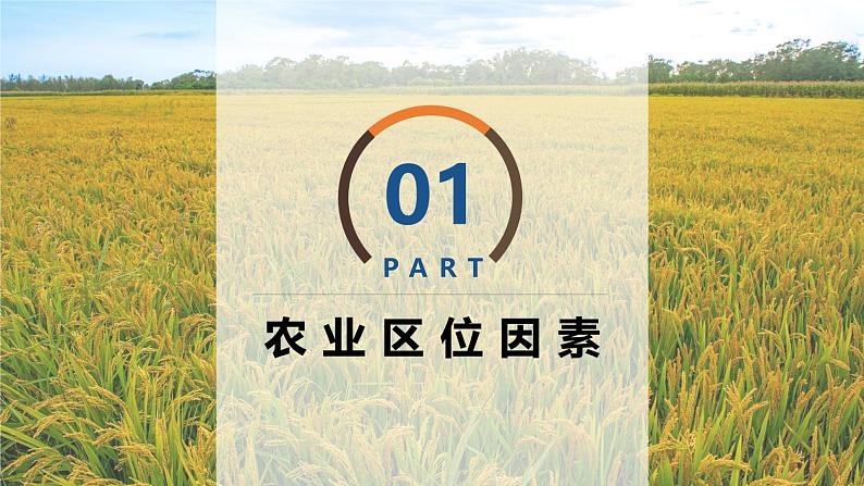 3.1.1 农业区位因素与农业布局（精品课件）-高一地理同步备课系列（湘教版2019必修第二册）04