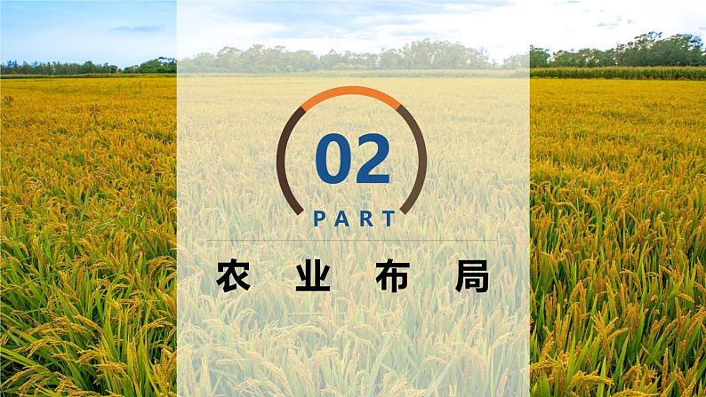 3.1.2 农业区位因素与农业布局（精品课件）-高一地理同步备课系列（湘教版2019必修第二册）04