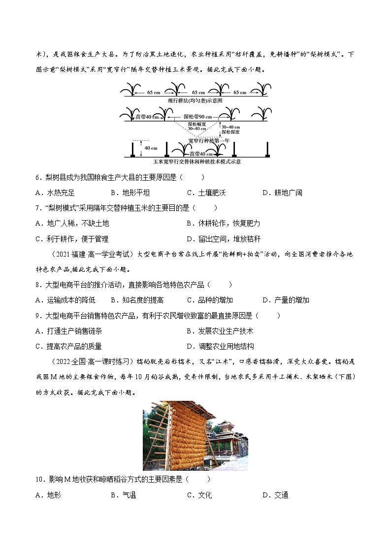 3.1.1 农业区位因素与农业布局（课时作业）-高一地理同步备课系列（湘教版2019必修第二册）（原卷版）第2页