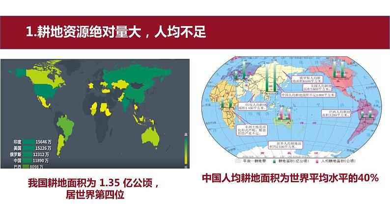 2.1 耕地资源与国家粮食安全 课件第8页