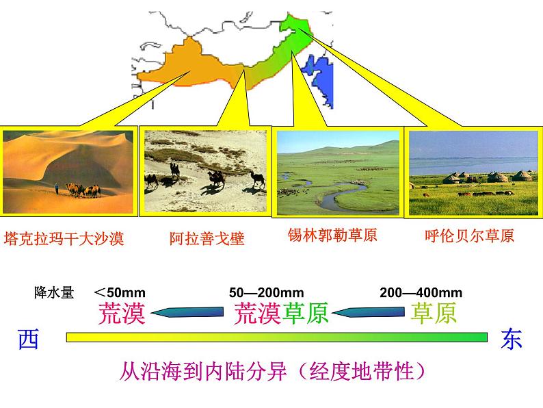 区域地理 西北地区 课件第4页