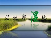 湘教版必修三3.2.2湿地的开发与保护 课件