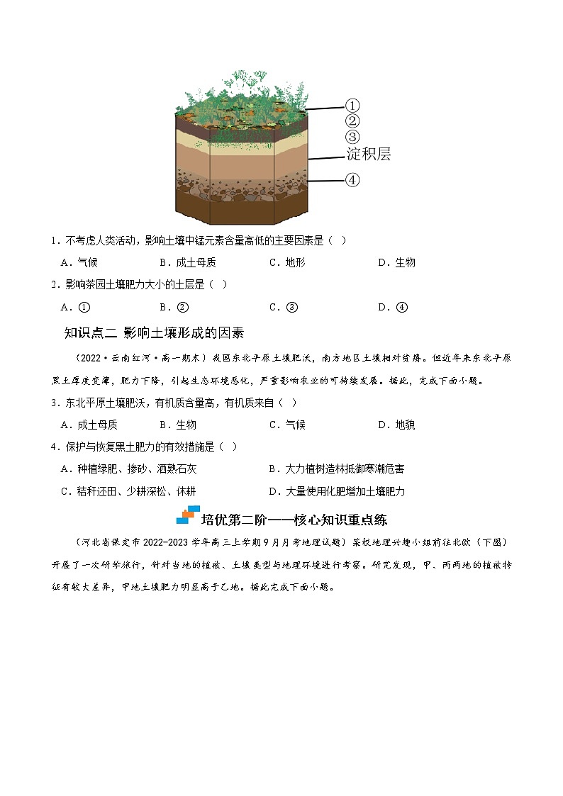 【培优分级练】高中地理(人教版2019)必修第一册 5.2《土壤》同步分级练（原卷版）第2页