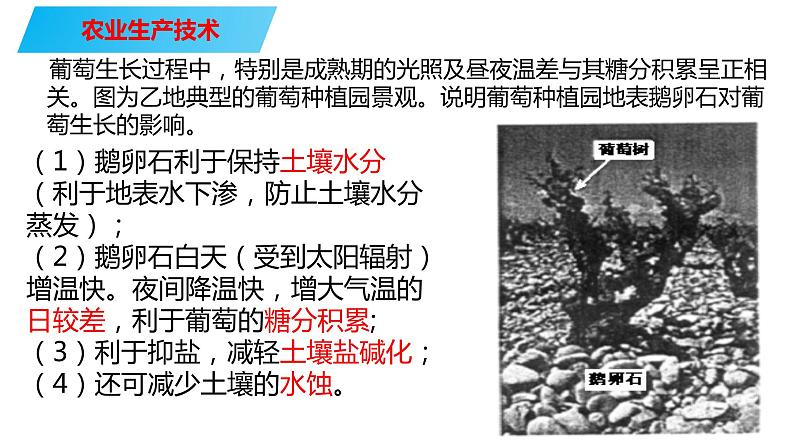 069中国自然地理概况2023届高三地理一轮总复习第四部分人文地理之农业（第3课时农业生产技术）第4页