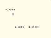 中图版高中地理必修第一册第2章第1节第2课时风沙地貌和喀斯特地貌课件+学案+练习含答案