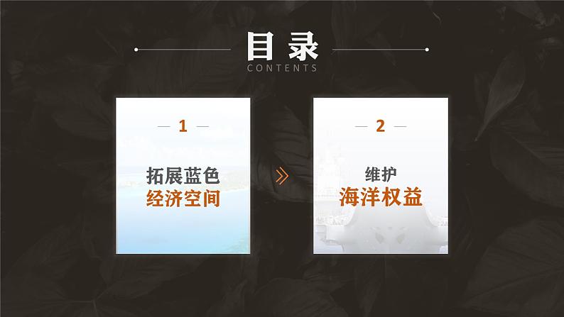 5.3中国国家发展战略举例（课时2）高一地理课件（人教版2019必修第二册）第5页