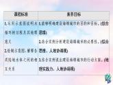 鲁教版高中地理选择性必修1第4单元单元活动建设海绵城市课件+学案+练习含答案