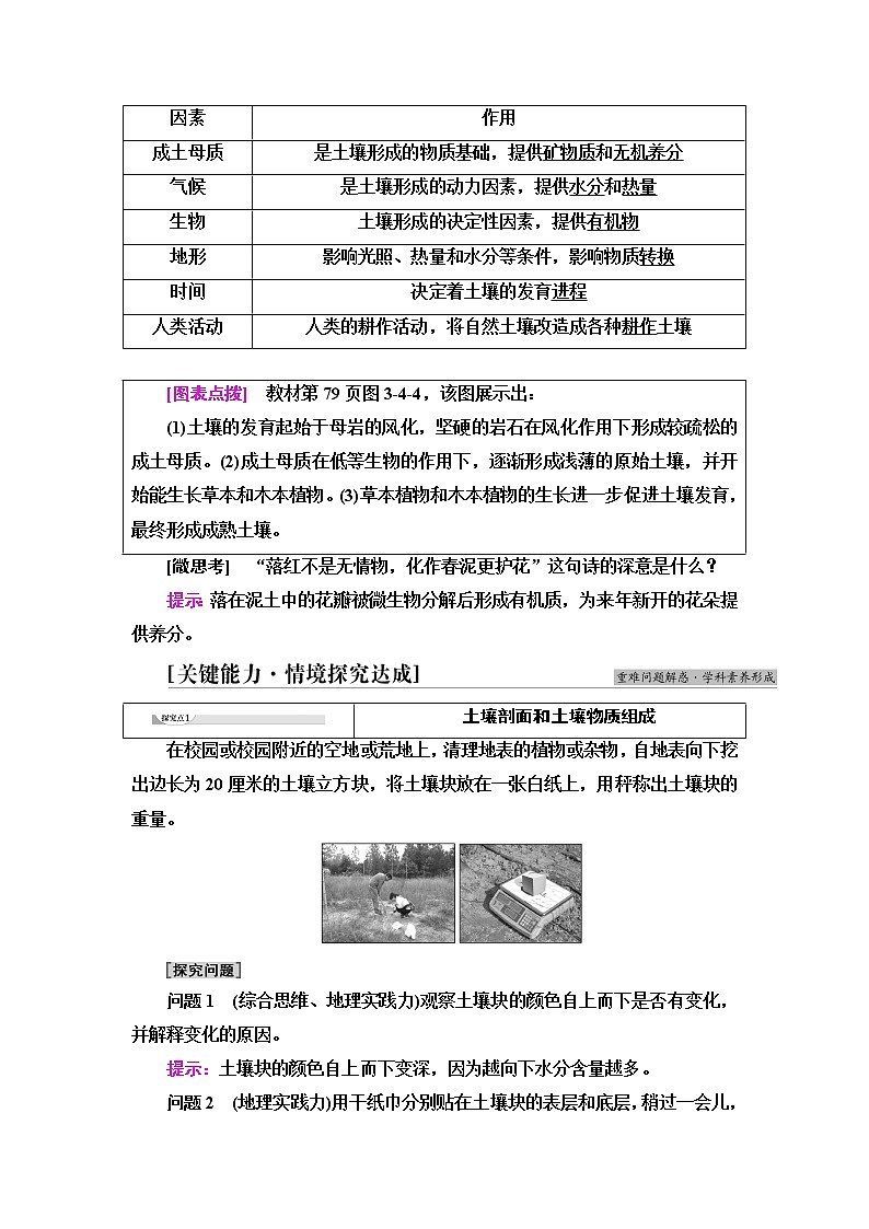 鲁教版高中地理必修第一册第3单元第4节分析土壤形成的原因课件+学案+练习含答案03