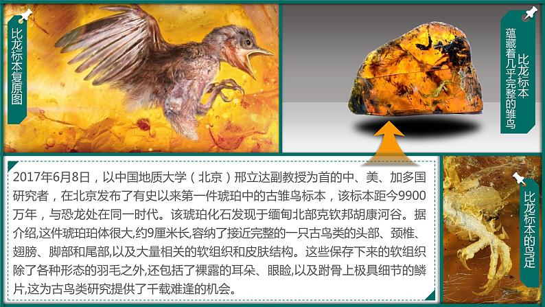 1.4 地球的演化 课件01