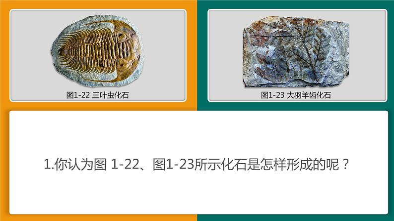 1.4 地球的演化 课件08