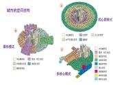 2.1 城乡空间结构 课件