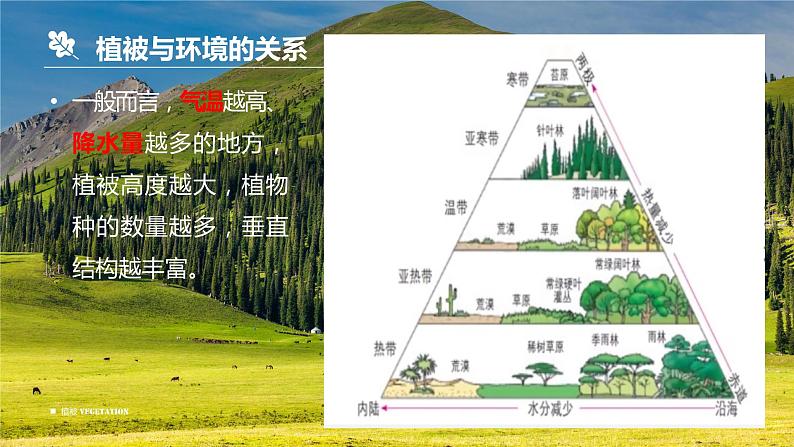 5.1 植被 课件  高中地理人教版（2019）必修一06