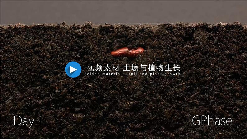 5.2土壤课件    高中地理人教版（2019）必修一第2页