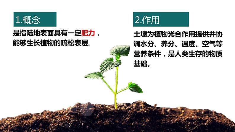 5.2 土壤的形成 课件06