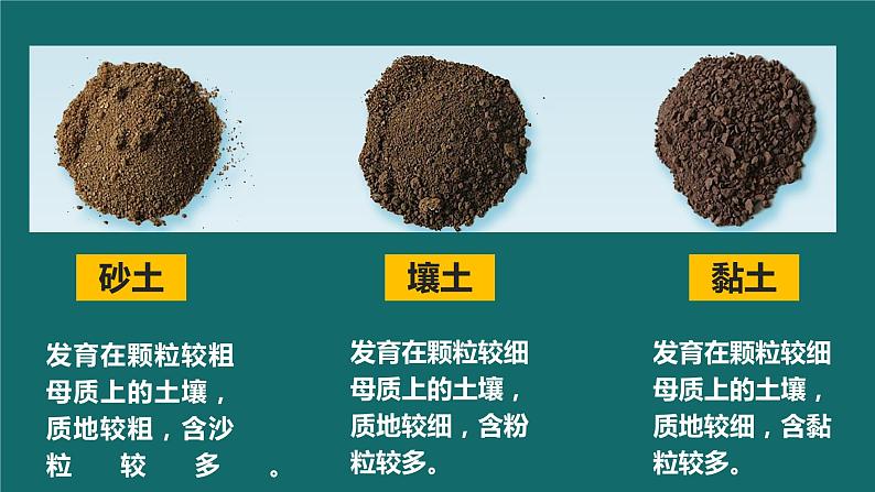 5.2 土壤的形成 课件08