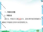 高中地理选择性必修三  20-21 第3章  第1节　环境安全对国家安全的影响 课件