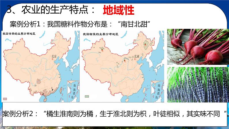 3.1 农业区位因素及其变化 课件+练习+教案+导学案08