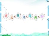 高中地理选择性必修三  20-21 第4章  第2、3节　国家战略与政策　国际合作 课件