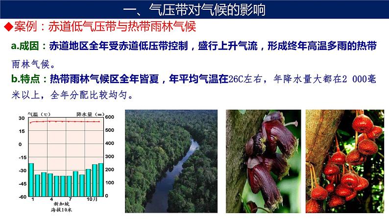 3.3 气压带和风带对气候的影响（第1课时 气压带和风带对气候的影响）课件05