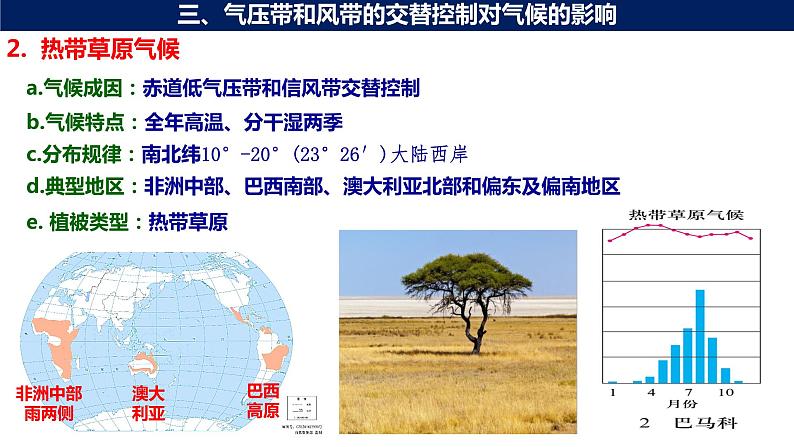 3.3 气压带和风带对气候的影响（第2课时 气候与自然景观）课件05