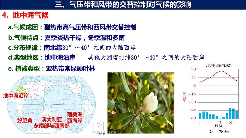 3.3 气压带和风带对气候的影响（第2课时 气候与自然景观）课件07